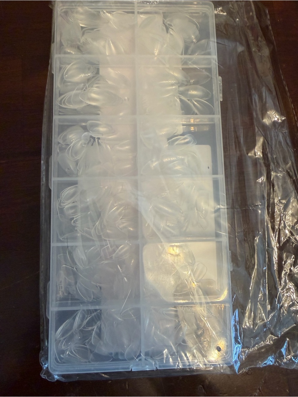 Clear Plastic Nail Tip Storage Box with Assorted clear Tips
